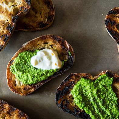 Grilled Bread with Thyme Pesto and Preserved Lemon Cream