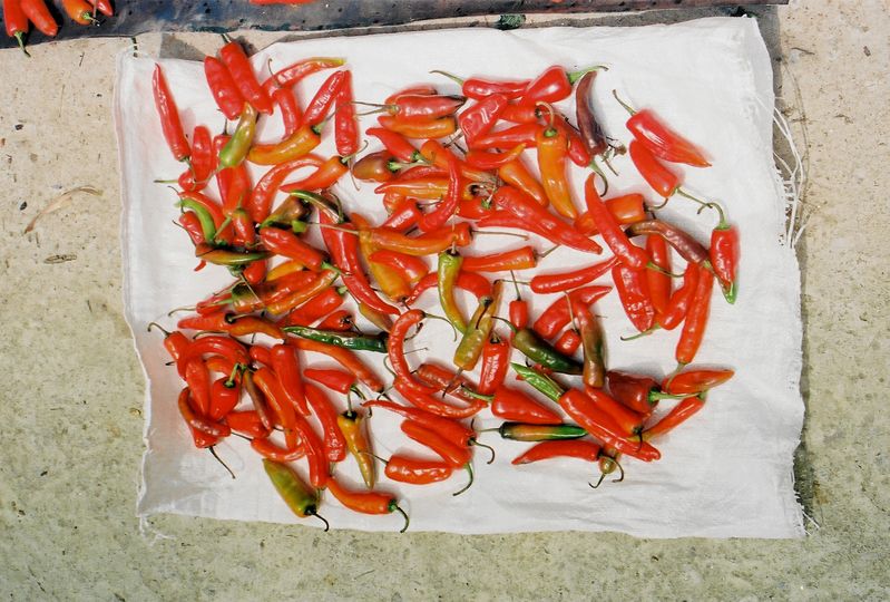 These Bhutanese chiles are not subtle.