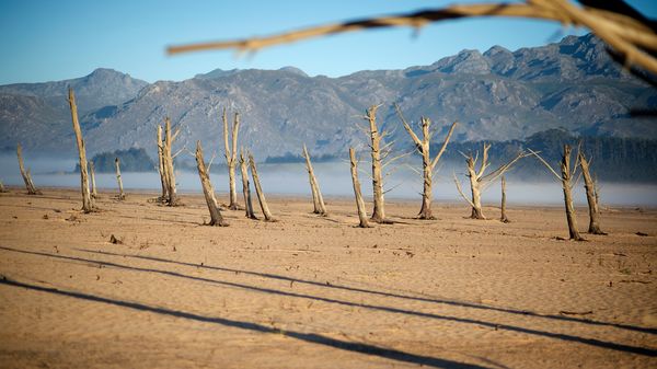 The Theewaterskloof Dam is at just 13 percent capacity and is full of sand and dried tree trunks. About 85 miles north of Cape Town, the dam supplies both city and local farmers.