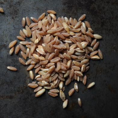 Get To Know Your Grains: Farro